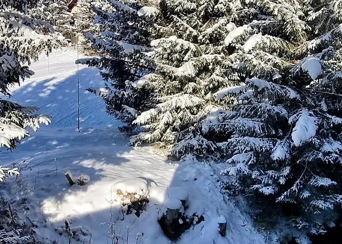 Sottolago - Ruhig Und Zentral In * Arosa